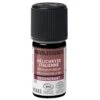 Huile Essentielle Hélichryse Italienne Bio 5ml Revelessence 1 Huile Essentielle Hélichryse Italienne Bio 5ml Revelessence -Care Série Magasin 104146