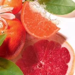 Care Série Magasin -Care Série Magasin 118992