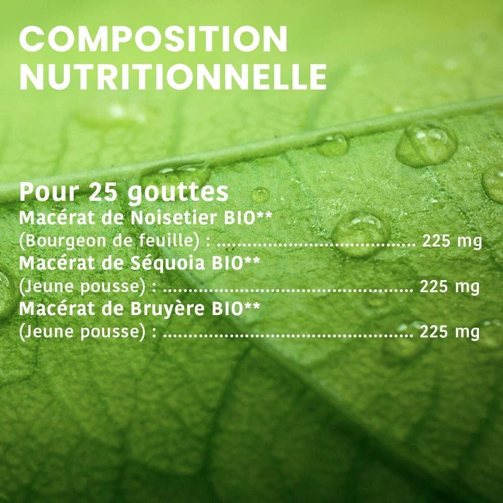 Tri Complexe De Bourgeons Prostate Bio 30ml Gémmothérapie Santarome 9 Tri Complexe De Bourgeons Prostate Bio 30ml Gémmothérapie Santarome – Image 7