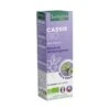 Bourgeon De Cassis Bio 30ml Gémmothérapie Santarome