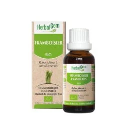 Framboisier Bio 30ml Herbalgem